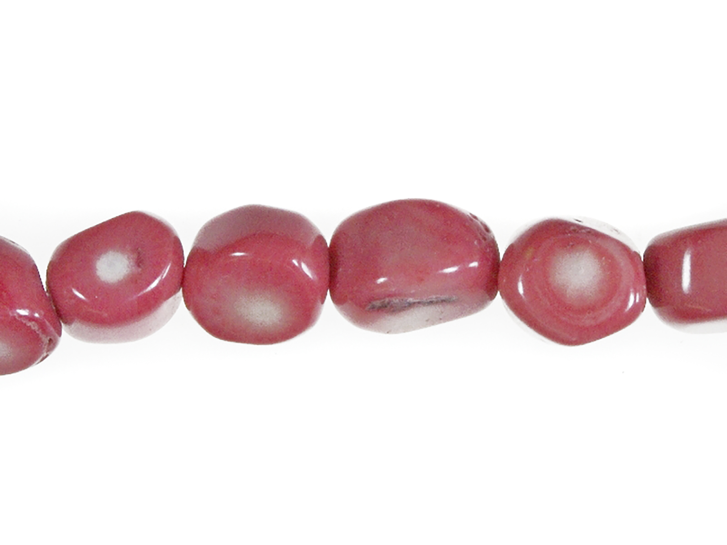Bambuskoralle