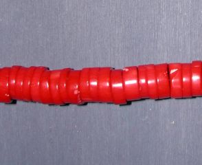 Bambuskoralle